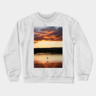 Sunday's almost gone... Shoreline Park, Mountain View, California Crewneck Sweatshirt